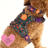 Spellbound Autumn Adjustable Dog Harness, Lead, Collar & Dog Walking Bag Bundle
