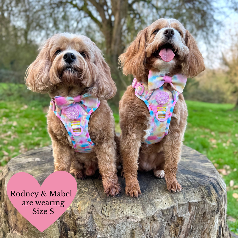 Tie Dye Dog Harness - Colour Drops - Candy Floss