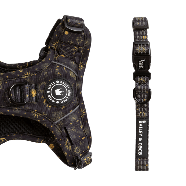 Trail & Glow® Collar - Celestial