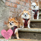 Trail & Glow - Dog Harness Bundle Set - Colour Drops - Red Highland Tartan
