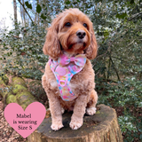 Trail & Glow Dog Harness & Lead Set - Colour Drops - Candy Floss