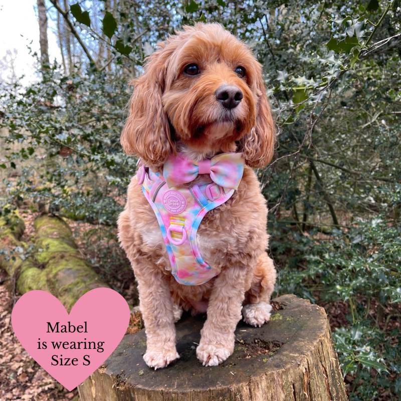 Trail & Glow Dog Harness & Lead Set - Colour Drops - Candy Floss