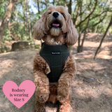 Adjustable Dog Harness Bundle Set - Forest Tweed