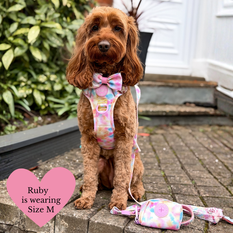 Trail & Glow Dog Harness Bundle Set - Colour Drops - Candy Floss