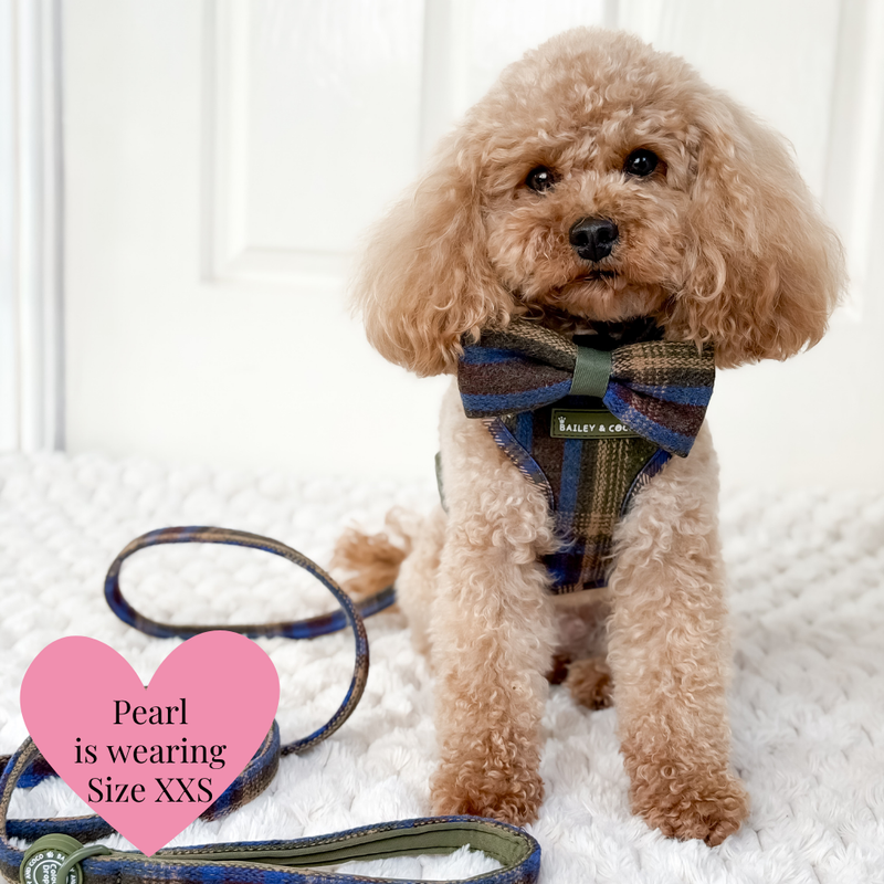 Mayfair Tweed Dog Harness - Adjustable Neck Dog Harness