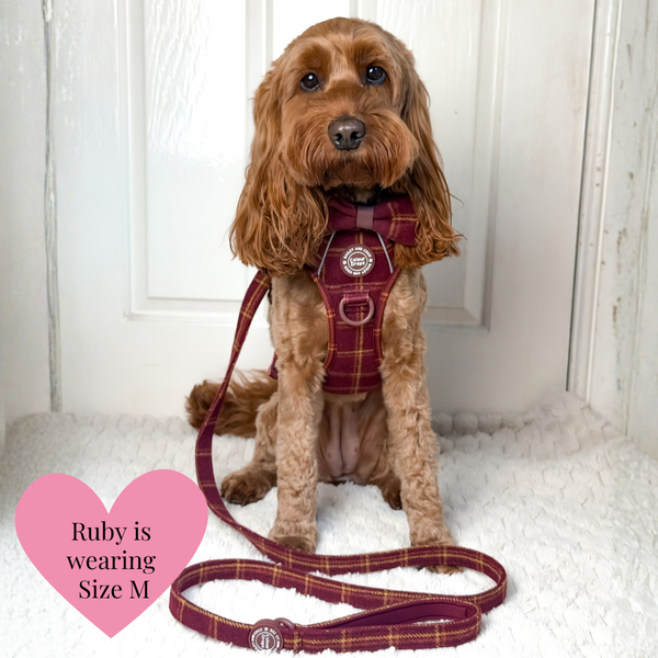 Dog Harness and Lead Set - Colour Drops - Mulberry Plaid - alternate view