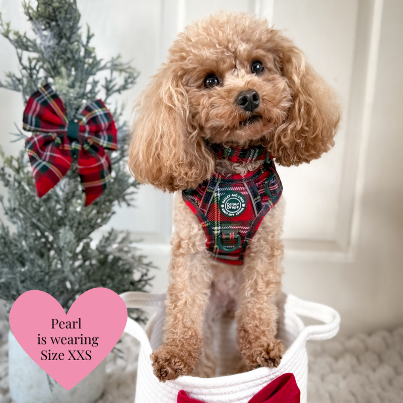 Trail & Glow - Dog Harness Bundle Set - Colour Drops - Red Highland Tartan