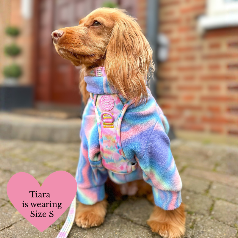 Trail & Glow Dog Harness Bundle Set - Colour Drops - Candy Floss