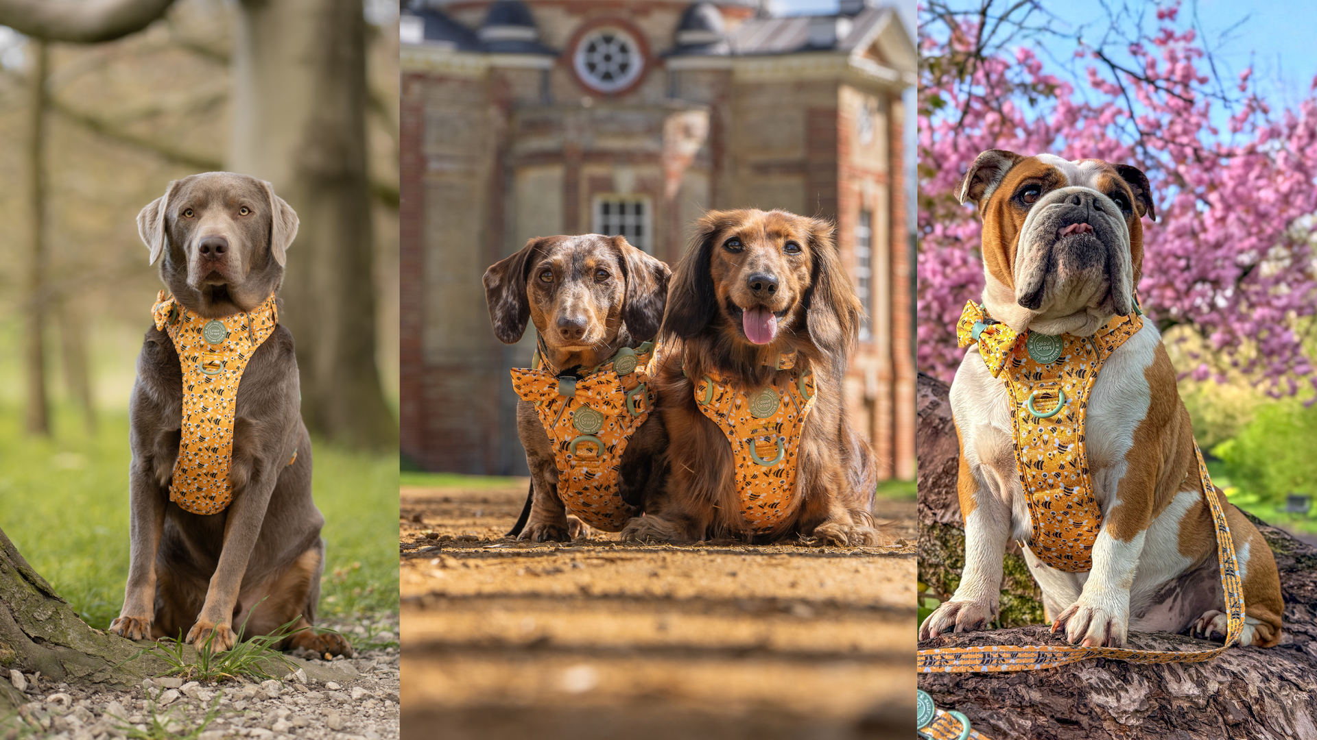 Stop. This is too cute.