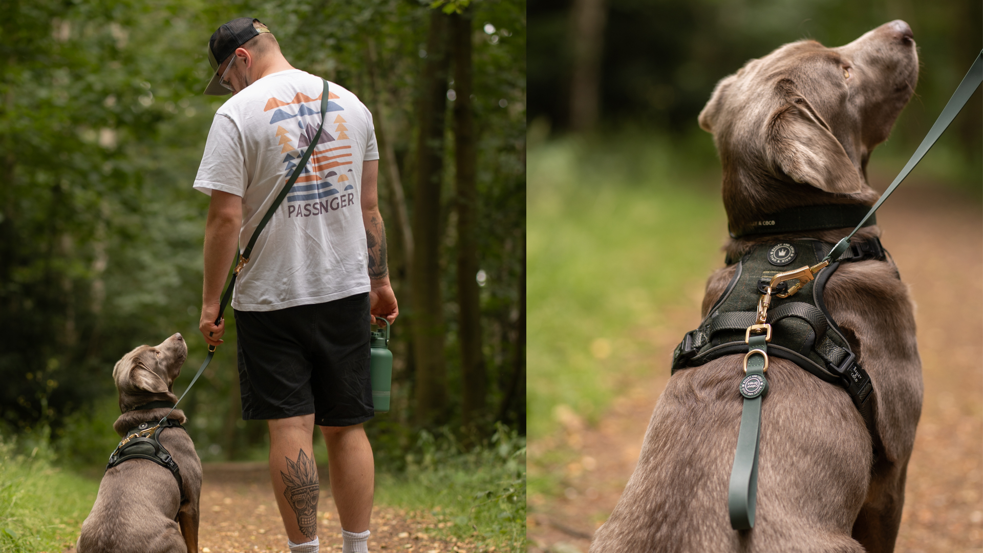One Lead. More Ways to Walk.