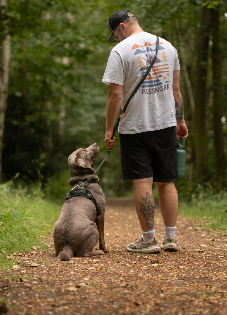 One Lead. More Ways to Walk.