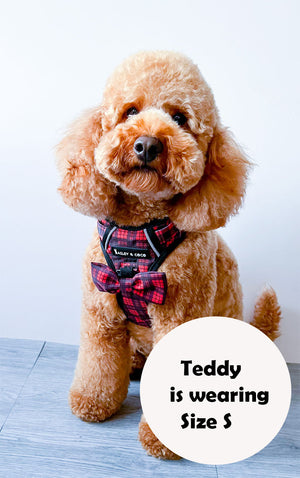 Trail & Glow® Dog Harness - The Red Tartan One