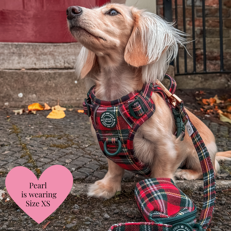 Trail & Glow - Dog Harness Bundle Set - Colour Drops - Red Highland Tartan