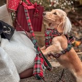 Poo Bag Holder - Colour Drops - Red Highland Tartan