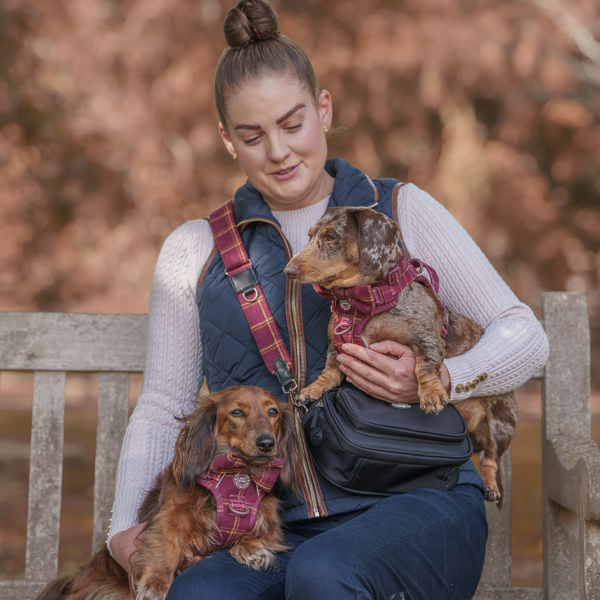 Dog Walking Bag - Black with Mulberry Plaid Strap - alternate view
