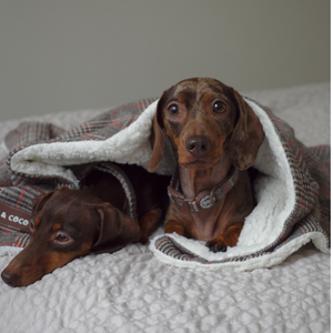 Heritage Plaid Dog Blanket - Soft Sherpa Lined