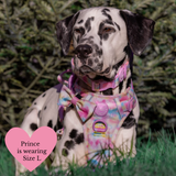 Trail & Glow Dog Harness Bundle Set - Colour Drops - Candy Floss