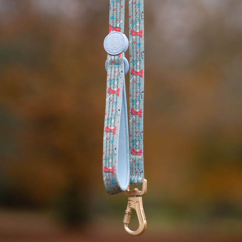 Trail & Glow Dog Harness & Lead Set - Colour Drops - Dino Party