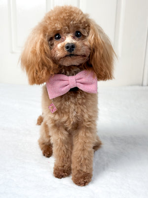 Bow Tie - Bubblegum Pink Tweed.