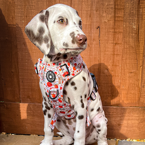 Trail & Glow® Dog Harness Bundle Set - Autumn Magic.