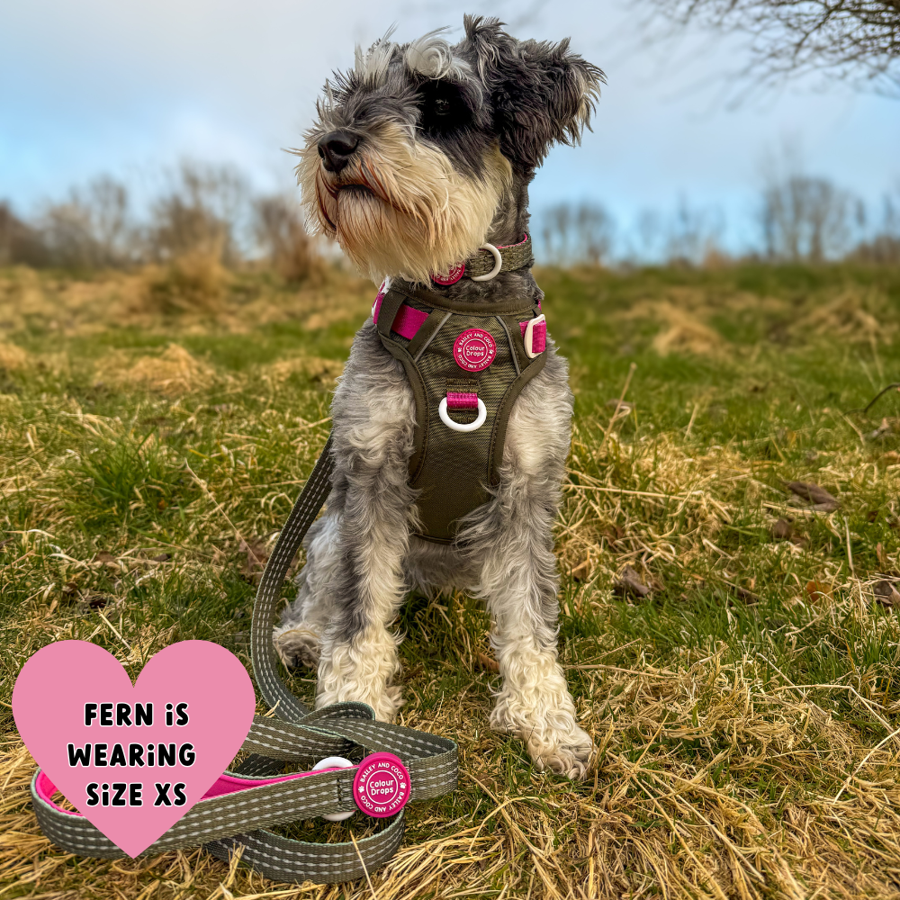 Trail & Glow® Dog Lead 5ft - COLOUR DROPS® - Olive it Hot