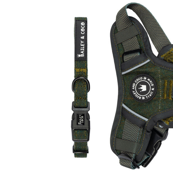 Adjustable Collar - Forest Tweed