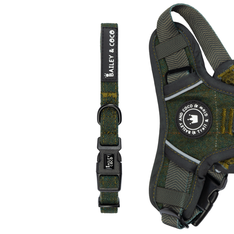 Adjustable Collar - Forest Tweed