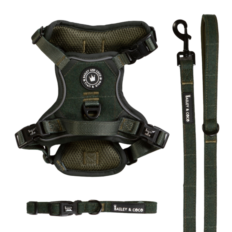 Forest Tweed Trail & Glow Dog Harness, Lead & Collar Bundle