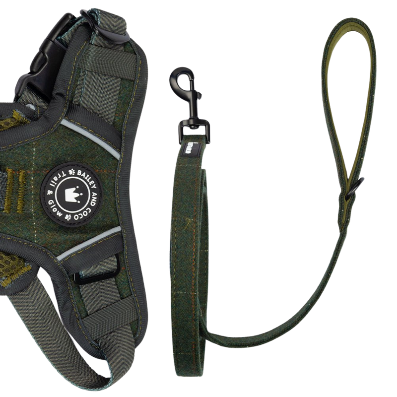 Dog Lead 5ft - Forest Tweed