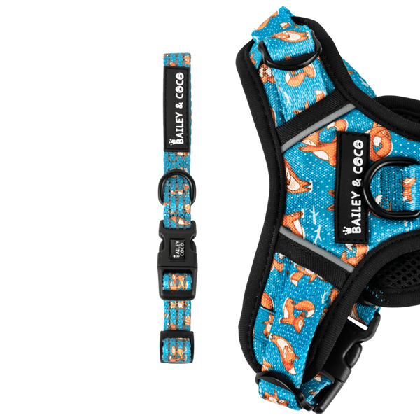 Trail & Glow® Collar - Foxy Yoga
