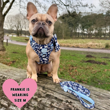 Trail & Glow Dog Harness & Lead Set - Colour Drops - Loves me, Loves me not