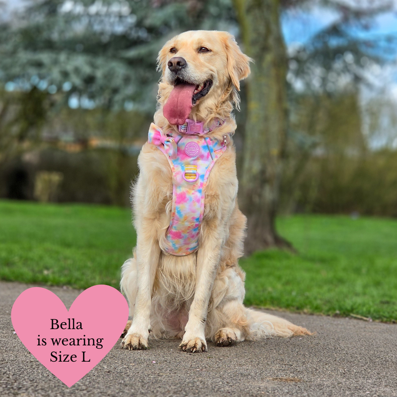 Tie Dye Dog Harness - Colour Drops - Candy Floss