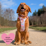 Tie Dye Dog Harness - Colour Drops - Candy Floss