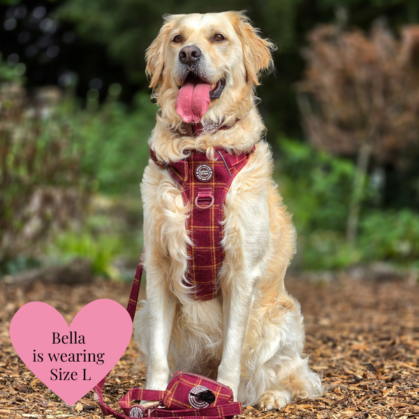 Mulberry Plaid Trail & Glow Dog Harness, Lead & Collar Bundle - alternate view