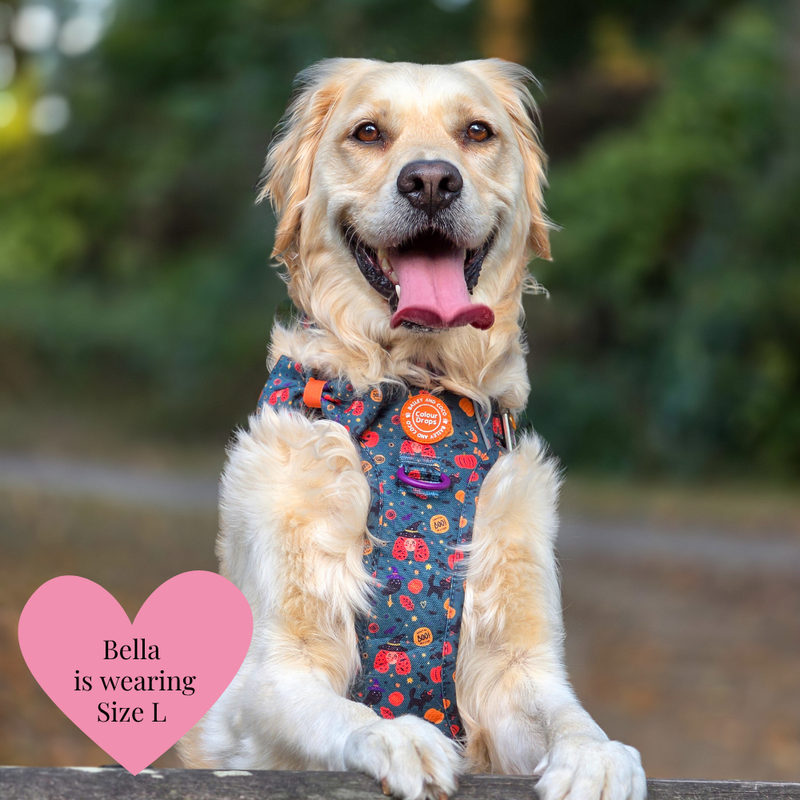 Dog Harness and Lead Set - Colour Drops - Spellbound Autumn
