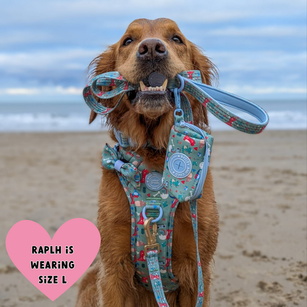 Trail & Glow Dog Harness & Lead Set - Colour Drops - Dino Party