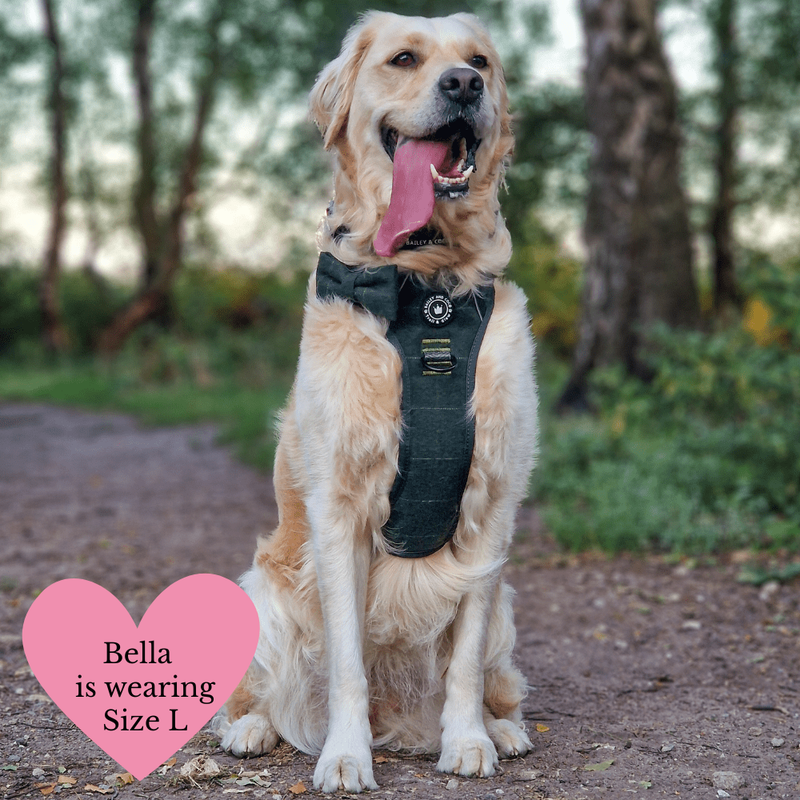 Forest Tweed Adjustable Dog Harness, Lead, Collar & Tweed Dog Walking Bag Bundle