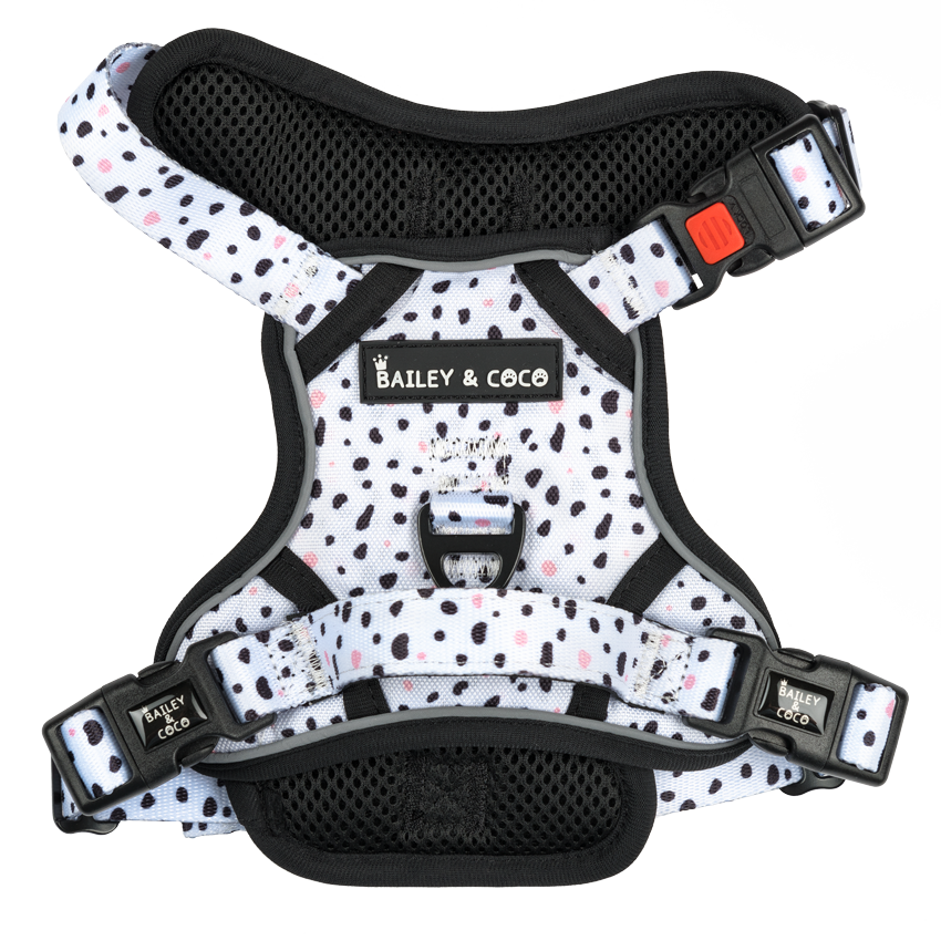 Trail & Glow® Dog Harness - Ditsy Dalmatian.