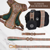 Heritage Plaid Adjustable Dog Harness, Lead, Collar & Black Dog Walking Bag Bundle