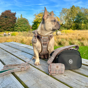Heritage Plaid Adjustable Dog Harness, Lead, Collar & Black Dog Walking Bag Bundle