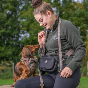 Heritage Plaid Adjustable Dog Harness, Lead, Collar & Black Dog Walking Bag Bundle