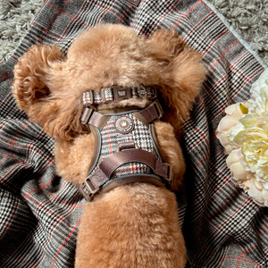 Heritage Plaid Dog Blanket - Soft Sherpa Lined