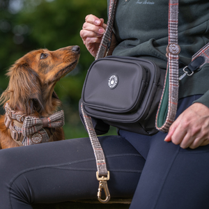Heritage Plaid Adjustable Dog Harness, Lead, Collar & Black Dog Walking Bag Bundle