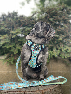 Trail & Glow® Fabric Dog Lead 5ft - All I Avo Wanted.