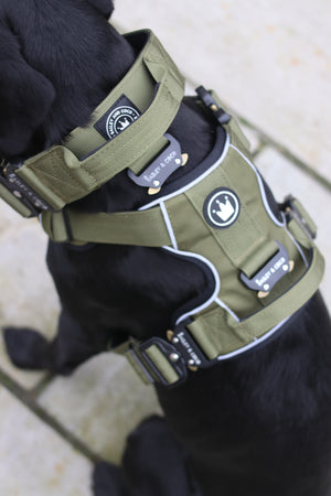 Premium Power Trails® Heavy-Duty Utility Dog Collar - All Khaki.