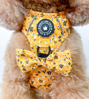 Trail & Glow® Dog Harness - Wanna-Bee.