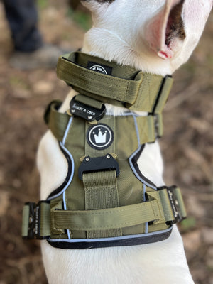 Premium Power Trails® Heavy-Duty Utility Dog Collar - All Khaki.