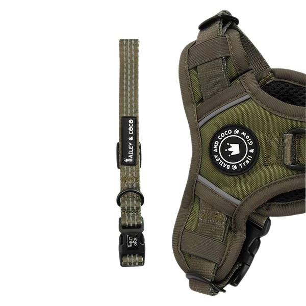 Trail & Glow® Collar - The Khaki One