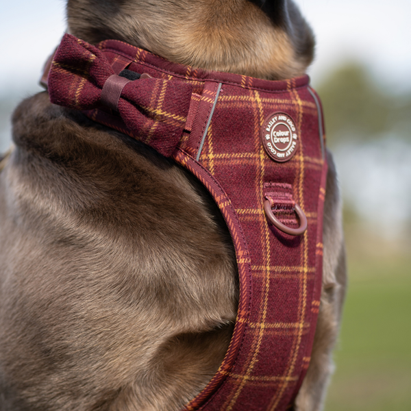 Bow Tie - Colour Drops - Mulberry Plaid - alternate view