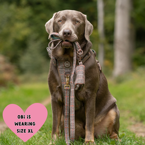 Heritage Plaid Adjustable Dog Harness, Lead, Collar & Latte Dog Walking Bag Bundle